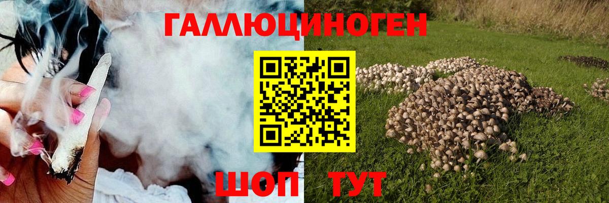 Галлюциногенные грибы ЛСД  Галлюциногенные грибы Psilocybe  Вход с VPN  Белогорск 