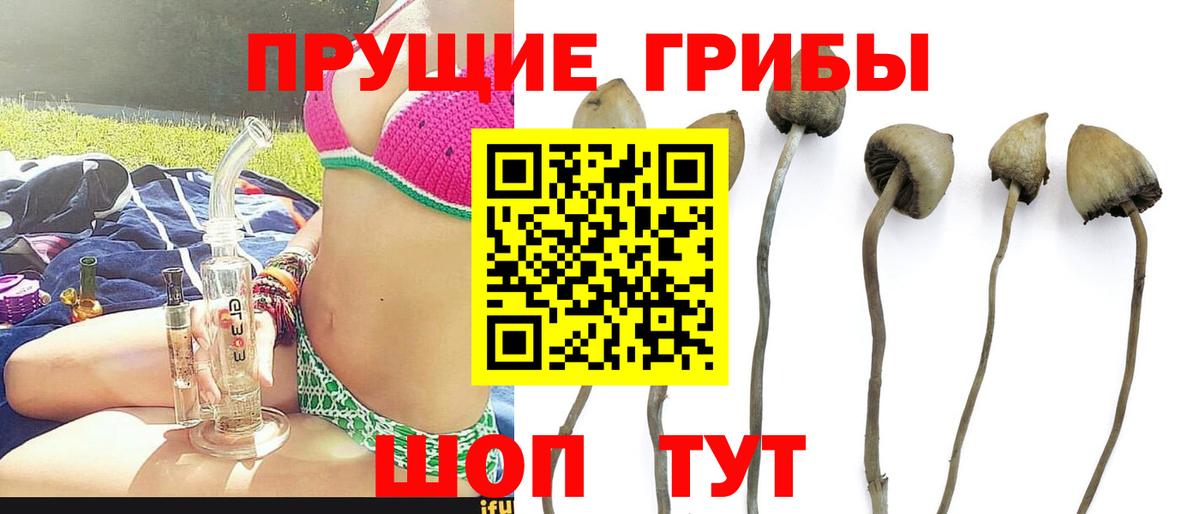 Псилоцибиновые грибы ЛСД Белогорск